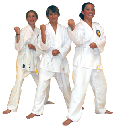 taekwon do tang so do martial arts school south fork